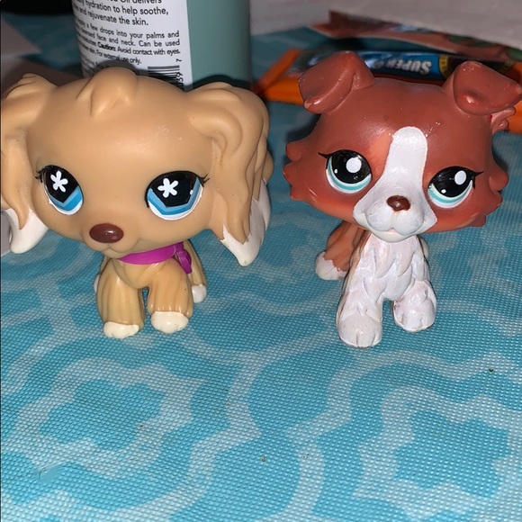 lps collie and cocker spaniel